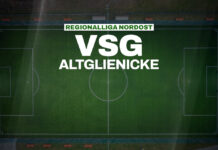VSG Altglienicke verstärkt Defensive mit Eredivisie-Profi Sven Sonnenberg