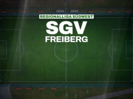 SGV Heilbronn-Freiberg verpflichtet Defensivspezialisten Scott Kennedy