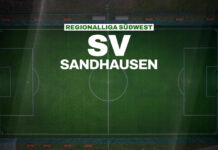 Tasos Leonidis verstärkt die Offensive des SV Sandhausen REGIONALLIGA SÜDWEST - SV Sandhausen