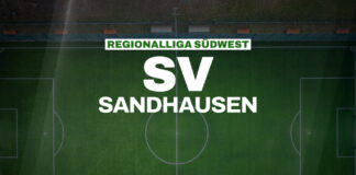 Kevin Stotz bleibt Cheftrainer beim SV Sandhausen REGIONALLIGA SÜDWEST - SV Sandhausen
