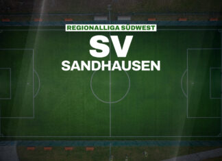 SV Sandhausen als Titelkandidat der Saison 2026/27: Qualität statt Quantität in der Kaderplanung REGIONALLIGA SÜDWEST - SV Sandhausen