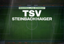 TSV Steinbach-Haiger hält Hajdaraj – Singer wechselt nach Trier